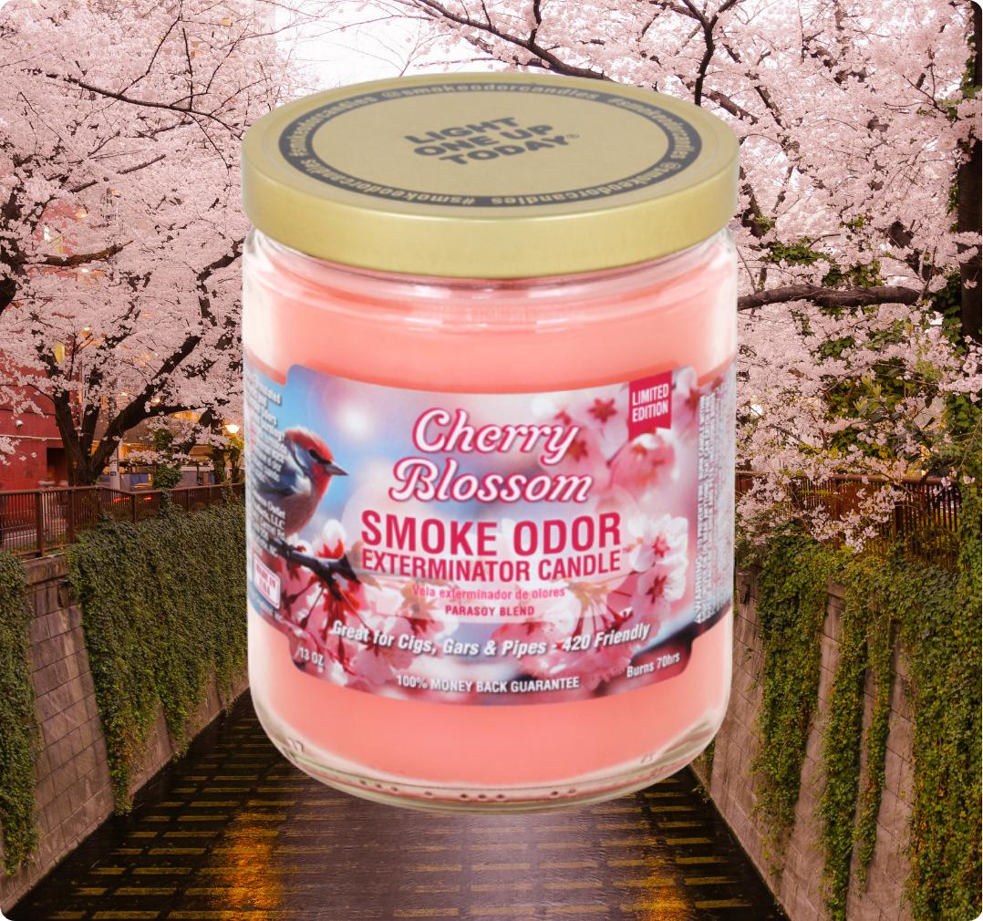 Smoke Odor Exterminator Limited Edition Candle, Cherry Blossom, 13 oz