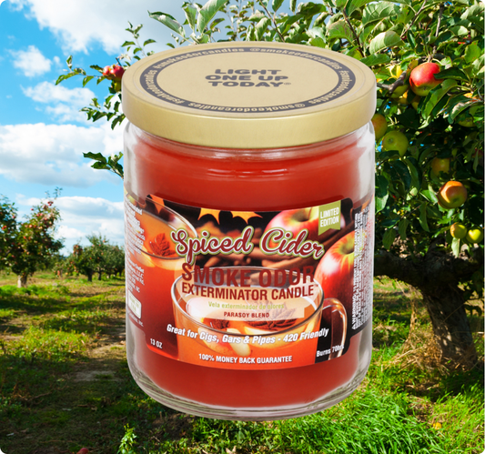 Smoke Odor Exterminator Limited Edition Candle, Spiced Cider, 13 oz