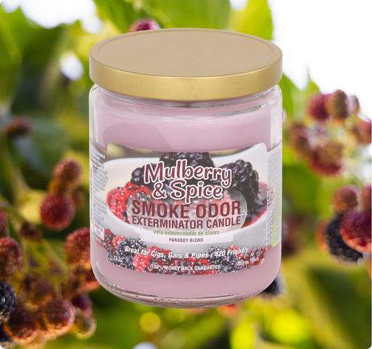 Smoke Odor Exterminator Candle, Mulberry & Spice, 13 oz