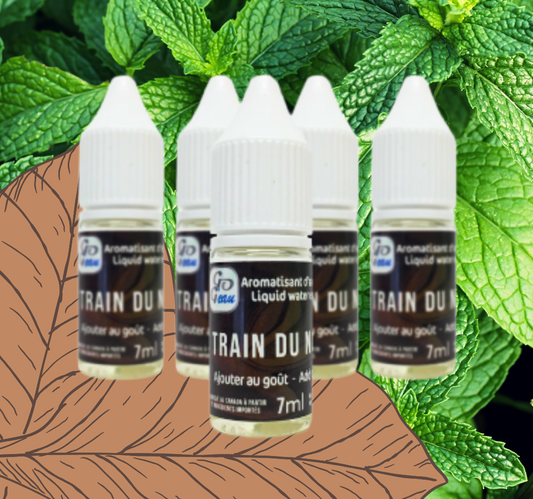 GO G'EAU - Le Train du Nord - 7ml