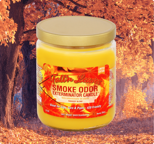 Smoke Odor Exterminator Limited Edition Candle, Fall’n Leaves, 13 oz